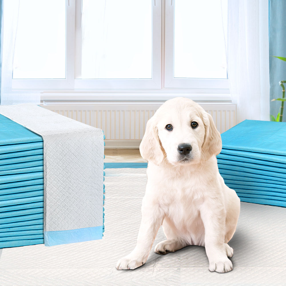 200pcs Puppy Dog Pet Training Pads Cat Toilet 60 x 60cm Super Absorbent Indoor Disposable freeshipping - Awezingly