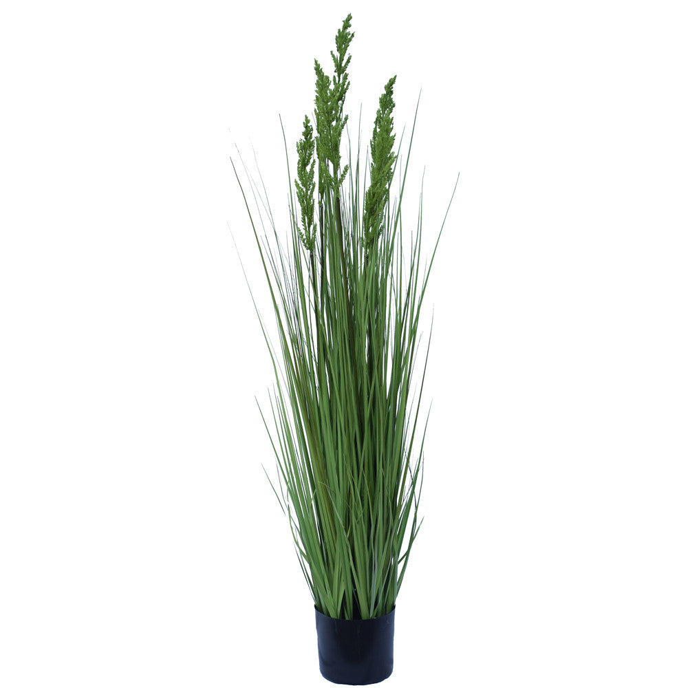 Flowering Native Grass 120 cm freeshipping - Awezingly