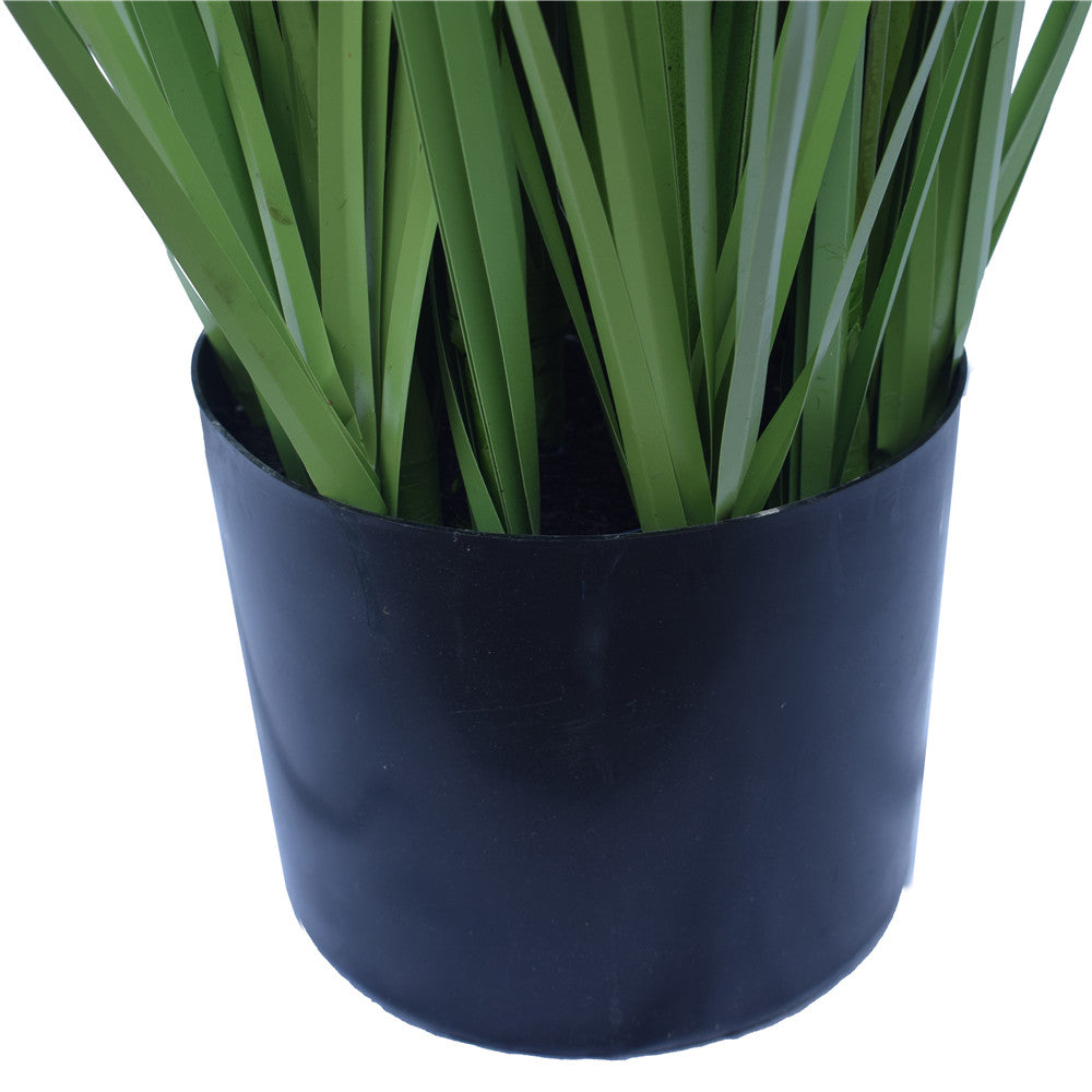 Flowering Native Grass 120 cm freeshipping - Awezingly