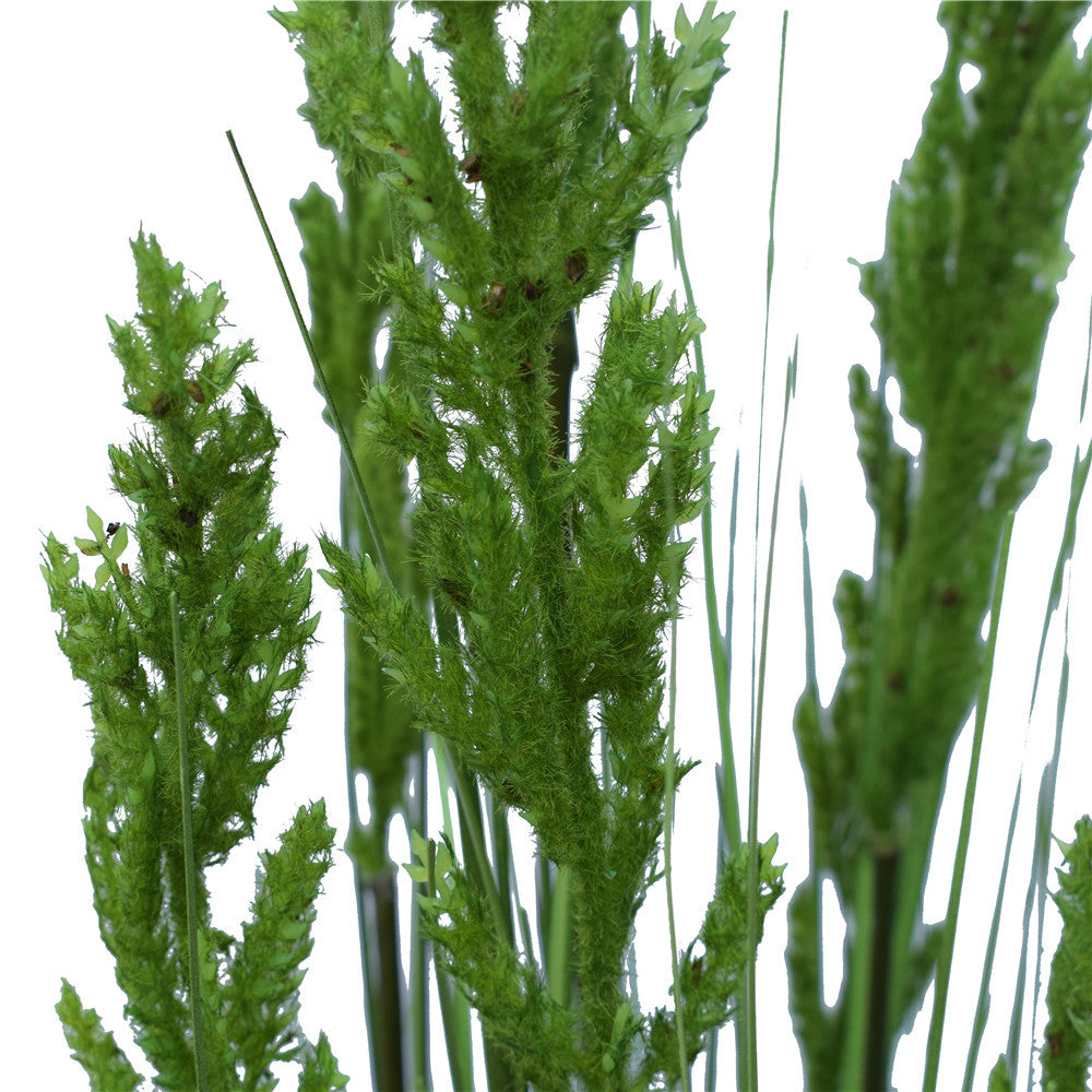 Flowering Native Grass 120 cm freeshipping - Awezingly