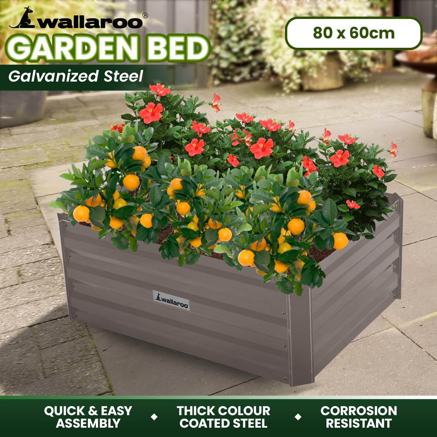 Wallaroo Garden Bed 80 x 60 x 30cm Galvanized Steel - Grey