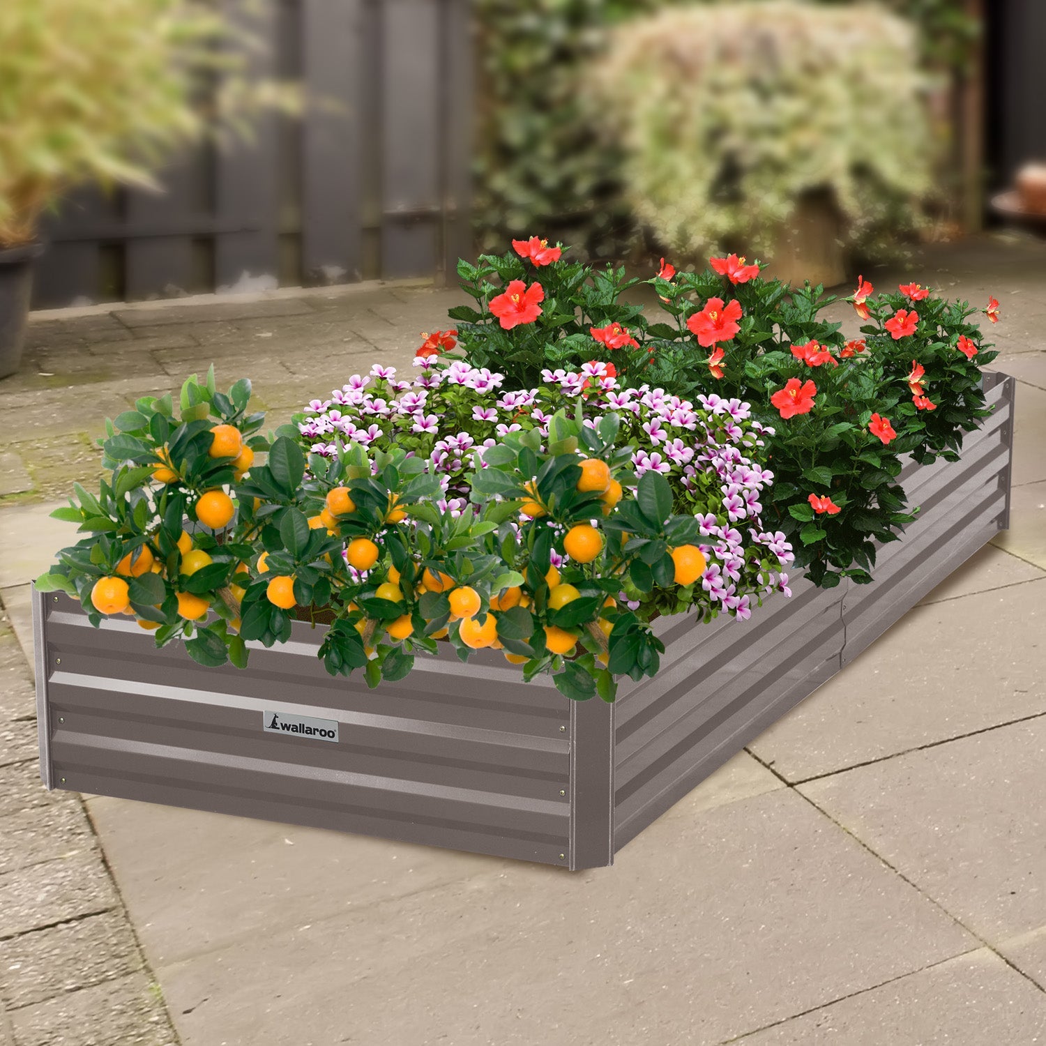 Wallaroo Garden Bed 210 x 90 x 30cm Galvanized Steel - Grey