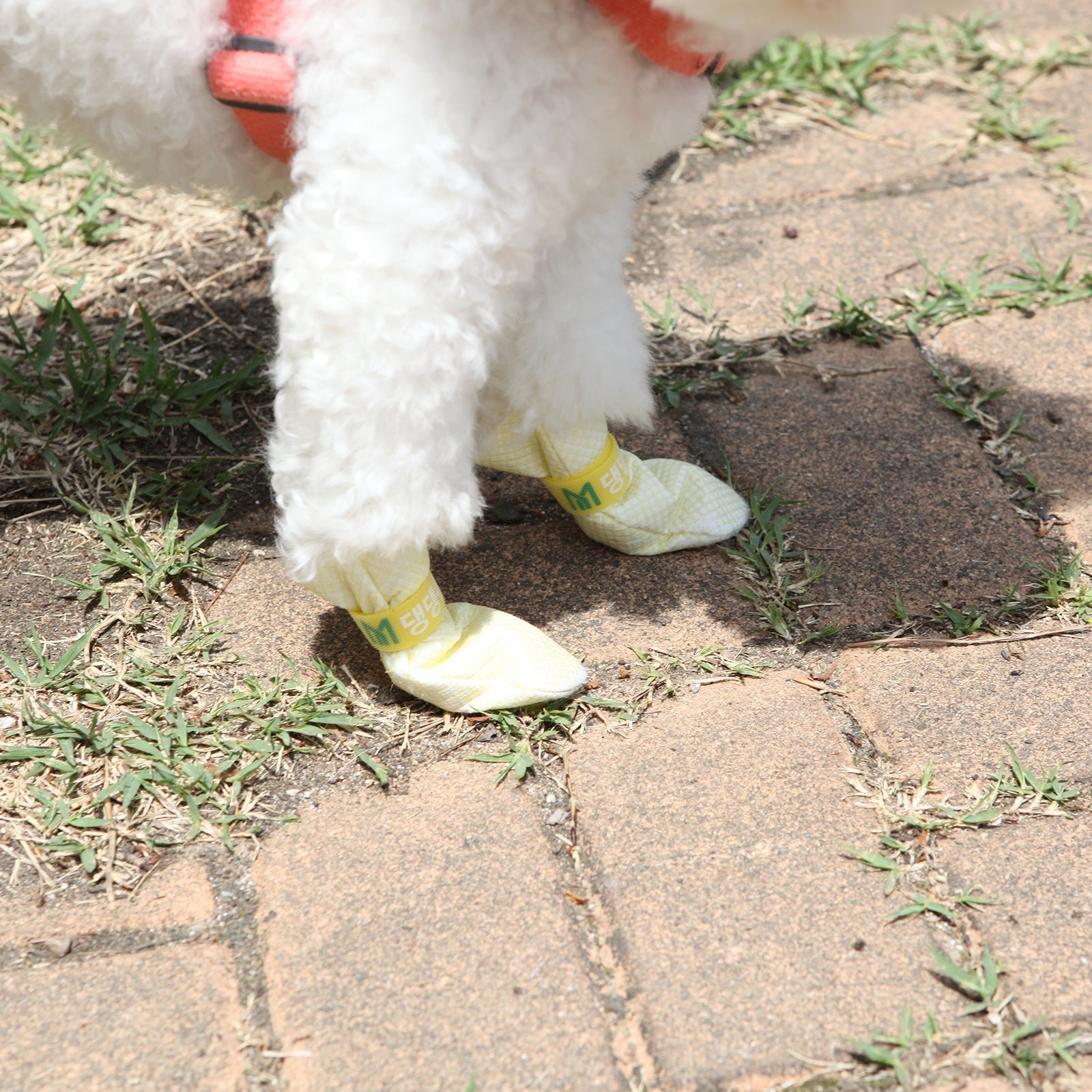 Daeng Daeng Shoes 28pc L Yellow Dog Shoes Waterproof Disposable Boots Anti-Slip Socks