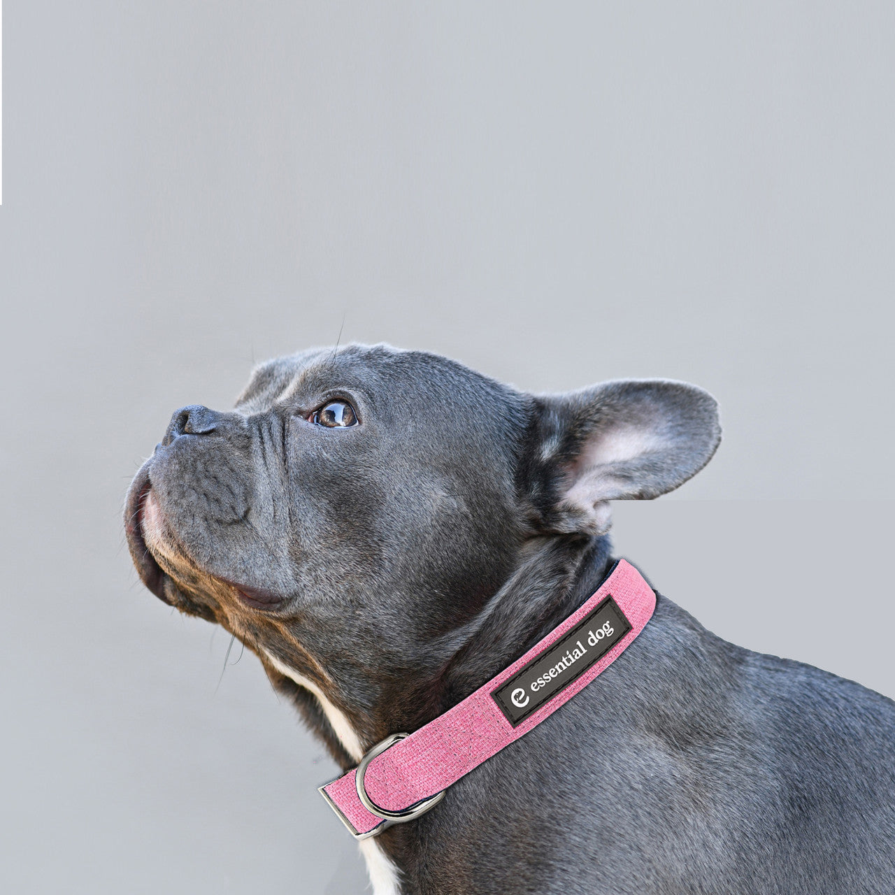 Natural Hemp & Cotton Dog Collar (Pretty Pink)