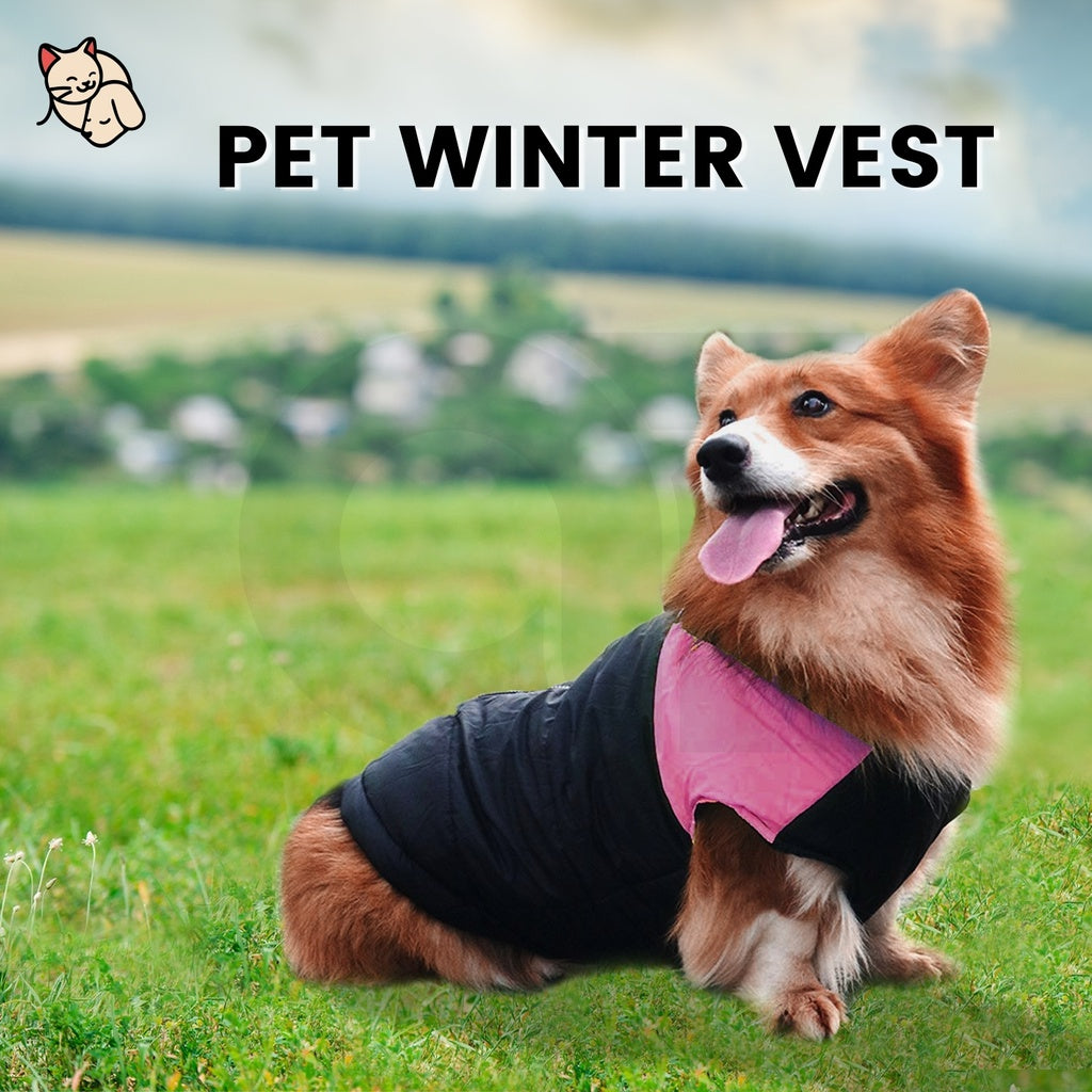 Floofi Pet Winter Vest (S Blue)