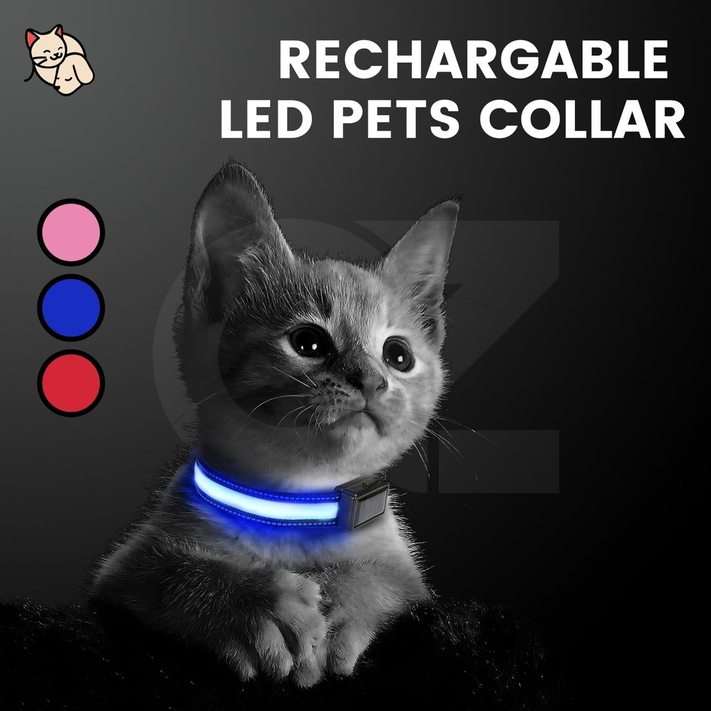 Floofi Solar USB Rechargable LED Dog Collar (L Orange)