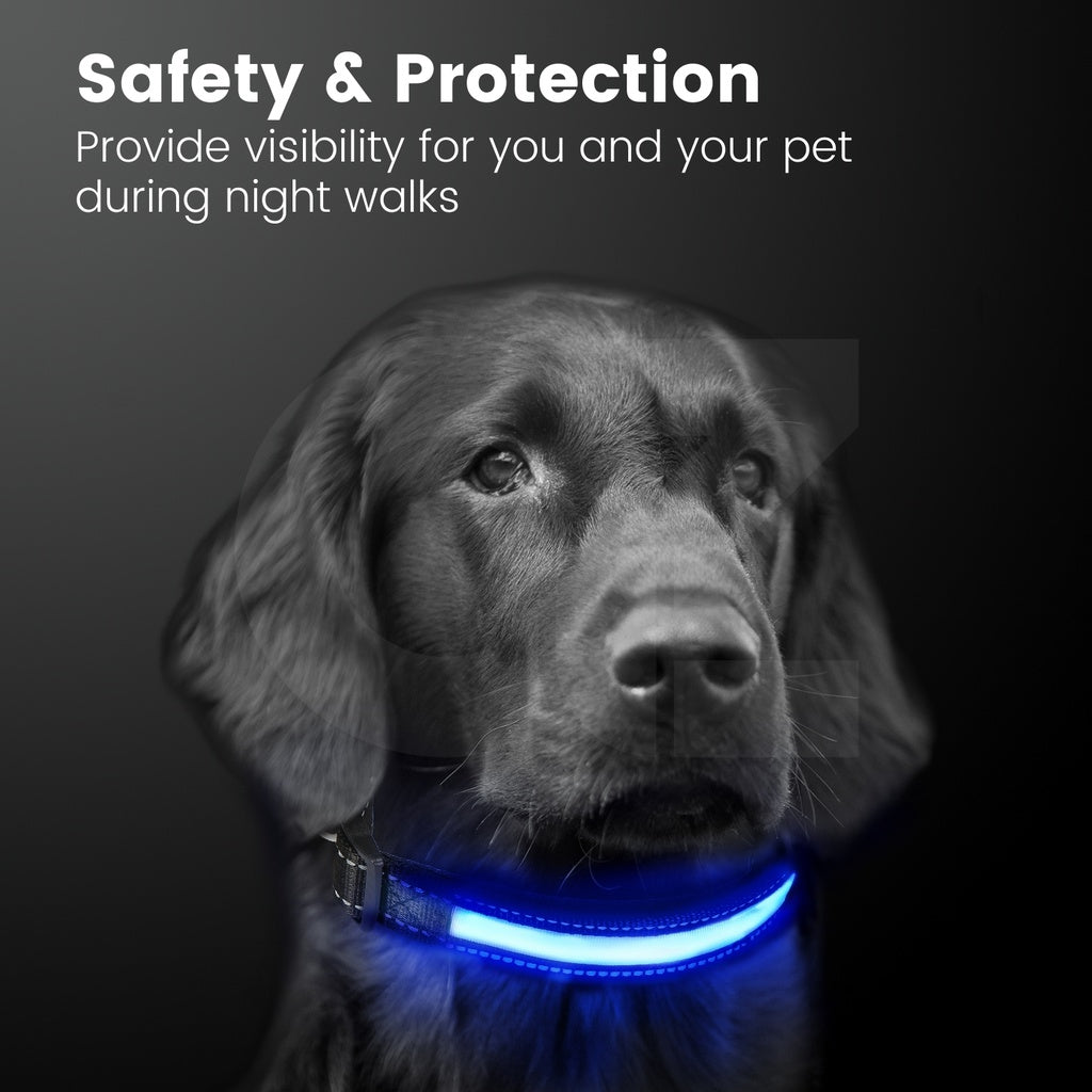 Floofi Solar USB Rechargable LED Dog Collar (M Blue)