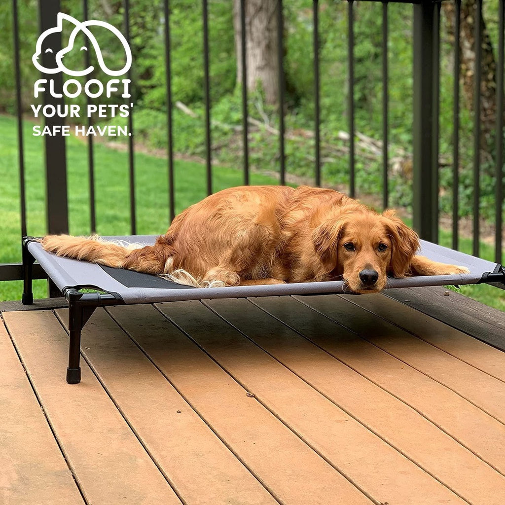 Floofi Elevated Pet Bed (L Black)