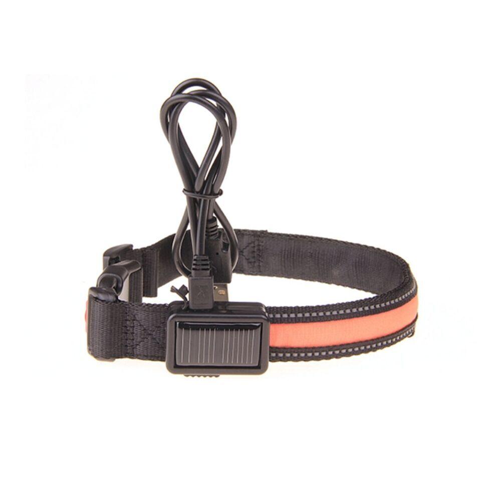 Floofi Solar USB Rechargable LED Dog Collar (L Orange)