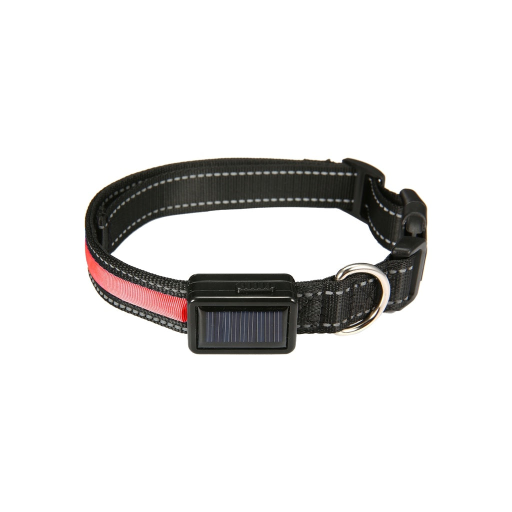 Floofi Solar USB Rechargable LED Dog Collar (M Red)